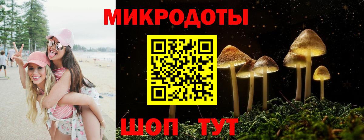 Галлюциногенные грибы GOLDEN TEACHER  Вход с VPN  Губкин 